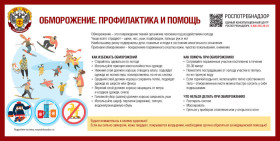 101 лицей. Единый день безопасности.