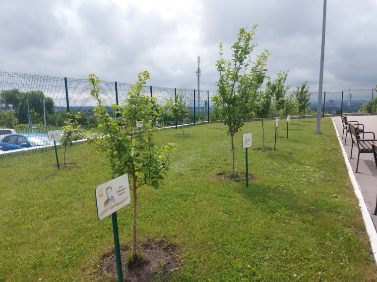 101 лицей. Звездный корабль.